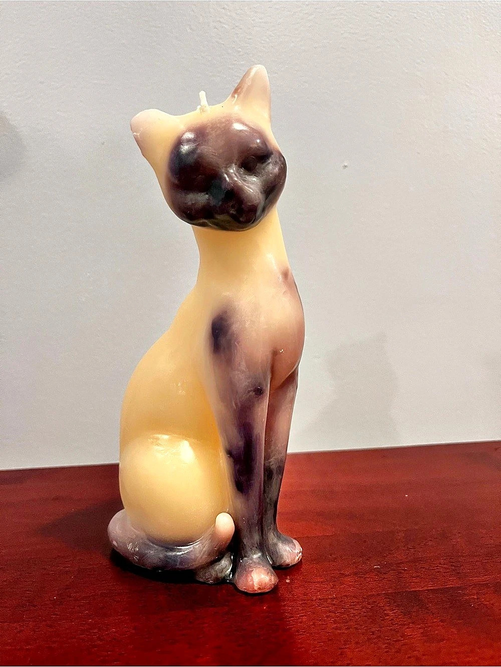 Siamese Cat Candle in Brown & Cream